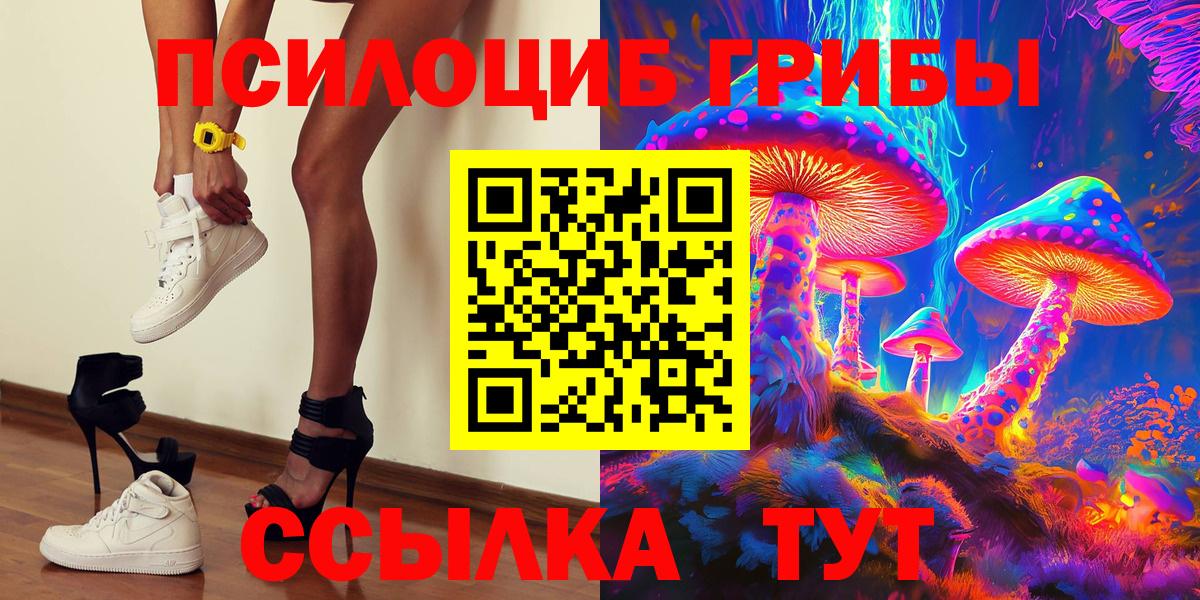 Псилоцибиновые грибы прущие грибы  Псилоцибиновые грибы GOLDEN TEACHER  Вход с VPN  Подольск 