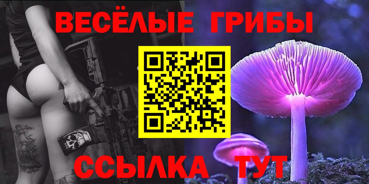 Галлюциногенные грибы GOLDEN TEACHER Подольск